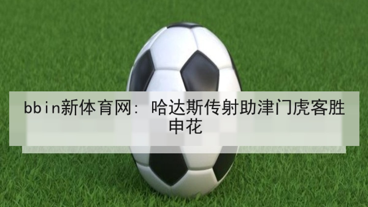 bbin新体育网: 哈达斯传射助津门虎客胜申花